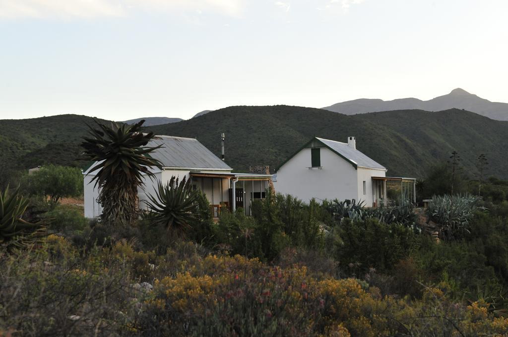 Matjiesvlei Guestfarm Villa Calitzdorp Kültér fotó