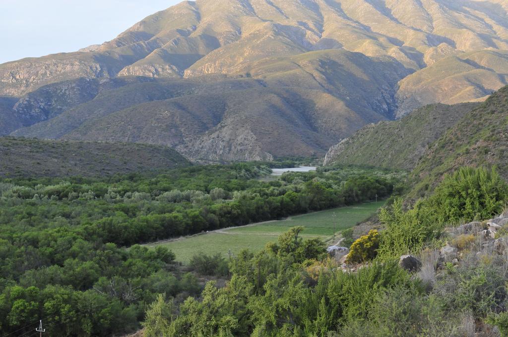 Matjiesvlei Guestfarm Villa Calitzdorp Kültér fotó